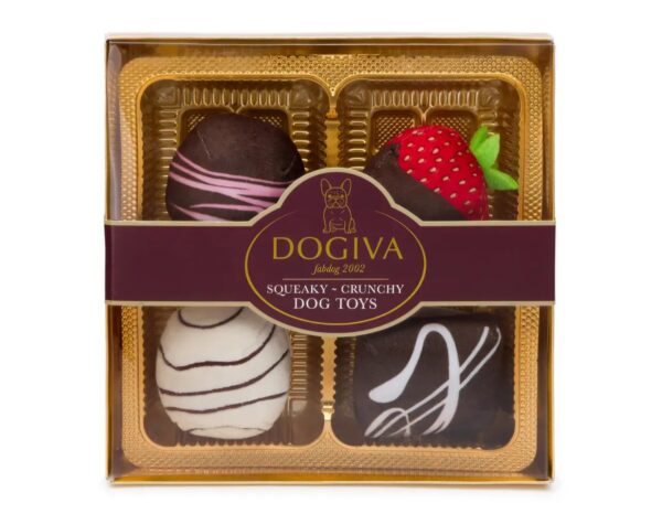 Dogiva Box of Chocolates